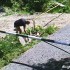 Endurowcy z Jeleniej Gory nagrali rozciagnie linek miedzy drzewami - pulapki na motocyklistow