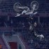 Diverse NIGHT of the JUMPs oficjalna relacja video - TAURON Arena Krakow 2017