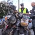 Policjanci byli w szoku Motocykl szczur kontra Polska policja - rat bike z mandatem