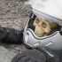 Zombie w dziurze Zabawny happening brytyjskiego motocyklisty - Zombie w dziurze