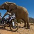 RPA na motocyklu  doskonale drogi i szalenstwo natury - honda africa twin
