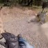 Co to sie stanelo czyli jelen skacze przez motocykl z powodu psa FILM - jelen nad motocyklista