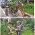 Motocyklowy Predator z Tajlandii - predator kontra policja