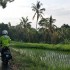 We dwoje skuterem po Bali Przygoda zycia i piekny film drogi - Bali na skuterze