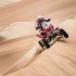 Awans Sonika z pasazerem na gape - Rafal Sonik Abu Dhabi Desert Challenge