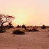 Ucieczka z pustynnego piekla Ekstremalna wyprawa do Mauretanii - Mauretania Gruzin 8