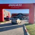Ducati Streetfighter V4 i Ducati Panigale V2 w Polsce Premiera IM Inter Motors Wroclaw - 78554042 434179570843008 6761870938863566848 n