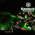 WSBK Kawasaki Racing Team  krolowie paddocku GALERIA - Kawasaki WSBK 2020 11 effect