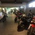 Idzie wiosna W salonach Triumph szybko topnieja zapasy motocykli z 2019 roku - wyprzedaze salon triumph warszawa 5