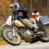 Jazda motocyklem z psem Oto Dandy ktory to uwielbia VIDEO - Izrael i Dandy
