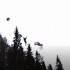 Skok motocyklem do rzeki na spadochronie  szalony freestyle Antti Pendikainena ze Stunt Freaks Team w Finlandii - Antti Pendikainen skok 40 metrow w lesie do rzeki