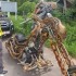 Predator ukarany mandatem przez policje Zbyt ekstremalne modyfikacje motocykla - Samai Khammongkul predator motorcycle rider ticketed by the police