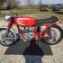 Ducati Mach 250 z 1965 roku na sprzedaz Aukcja konczy sie jutro  - 1965 ducati mach 7
