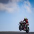 Aprilia w MotoGP  od cyberswini do progu podium  historia i przyszlosc  firmy z Noale - aprilia na torze