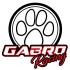 Aprilia RS660  jak uzyskac wiecej mocy Wywiad z Gabriele Gabro Malara - gabro paw logo