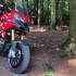 Ducati Multistrada 1200 S model 2011 motocykl uzywany  opinia po kilku latach jazdy - 08 Ducati Multistrada 1200 S w lesie