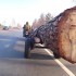Transport kilkutonowego pnia drzewa na motocyklu Rosyjski Ural z koszem - ural z koszem ciagnie wielotonowy pien drzewa