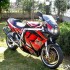 Jaki motocykl kupic do kolekcji Stare modele ktorych cena rosnie - suzuki gsx r1100