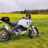 Ducati DesertX test w terenie i na drodze Czy sredni motocykl adventure to najlepszy wybor na polskie warunki Sprawdzilem - 09 Ducati DesertX polana zolta