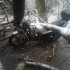 W Sopotni Malej na motocyklistow wywrocilo sie8230 drzewo Jak bezpiecznie jezdzic w zimie  - drzewo spad o namotocyklistow 2