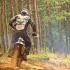 Motocyklisci ukarani mandatami Zlamali zakaz wjazdu do lasu   - offroad w lesie