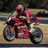 Alvaro Bautista i Nicolo Bulega zdominowali Phillip Island Ducati rozbilo bank w Australii - alvaro bautista superbike phillip island r2
