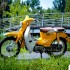 Czy motocykle i skutery elektryczne beda kiedys popularne Juz sa Zgadnij ile sprzedali ich w Chinach Mozesz sie pomylic o milion Raport o markach i modelach - 08 E Classic yellow