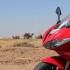 Maroko 2023 na motocyklu Cassablanca Sahara Marakesz i niezapomniane wrazenia - 13 Maroko na motocyklu 2023