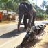 Motocyklem po Indiach Robie to od 40 lat Dlaczego warto - wyprawy motocyklowe w indiach wiltod palak