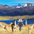 Motul Ameryka Poludniowa Tour Na motocyklach to bedzie wyzwanie - motul ameryka poludniowa tour patagonia 2023