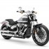 Softail czyli HarleyDavidson wygladajacy jakby nie mial amortyzatora z tylu Ta rewelacyjne koncepcja ma juz 40 lat - 2024 Breakout