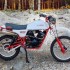 Moto Morini Camel i Kanguro Historia wloskich enduro kangurow i wielbladow - moto morini camel 500