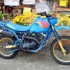 Moto Morini Camel i Kanguro Historia wloskich enduro kangurow i wielbladow - moto morini kaguro350