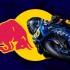 Kuba Belak wezmie udzial w testach do Red Bull Rookies Cup - Kuba Belak Red Bull Rookies Cup