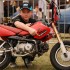 Eryk Niemczyk od stuntu do motocrossu - Eryk Niemczyk stunt