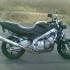 CBR 600 STUNT MACHINE