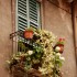 Balkonowe kwiaty