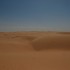 Bezdroza pustyni