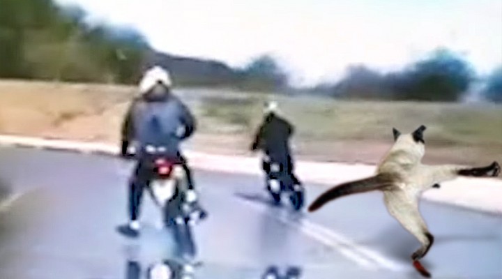 dwoch nastolatkow ucieka droga serwisowa przed grupa speed bialystok laski z