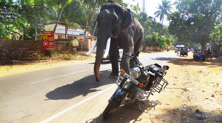 wyprawy motocyklowe w indiach wiltod palak z