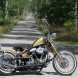 31 Harley Davidson FXST Softail Standard custom