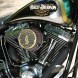 22 Harley Davidson Softail Springer custom silnik