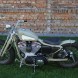 22 Harley Davidson Sportster 883 Custom od Retro Garage