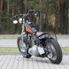 06 Harley Davidson Softail Standard 2003 custom tyl
