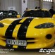 Viper Dodge Motor Show 2010 Poznan 3