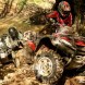 quad wyciagarka