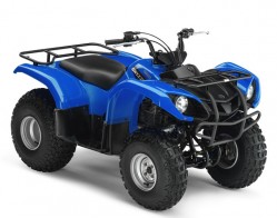 Yamaha Grizzly 125 Automatic model 2009 dane techniczne