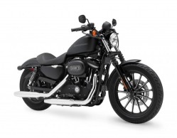 Harley-Davidson XL883R Sportster model 2008 dane techniczne