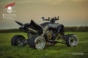 17 Ducati 1199 Panigale ATV Swap Garage tyl