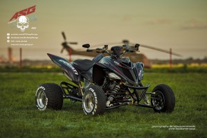 19 Ducati 1199 Panigale ATV Swap Garage custom